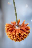 Rayan MAACHE - FLASH ME UP 80