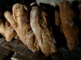 Hervé DIOLOGENT - HSD PHOTO